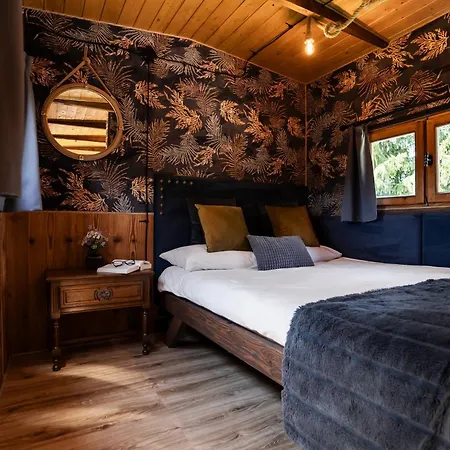 Gypsy Hill & * Międzylesie